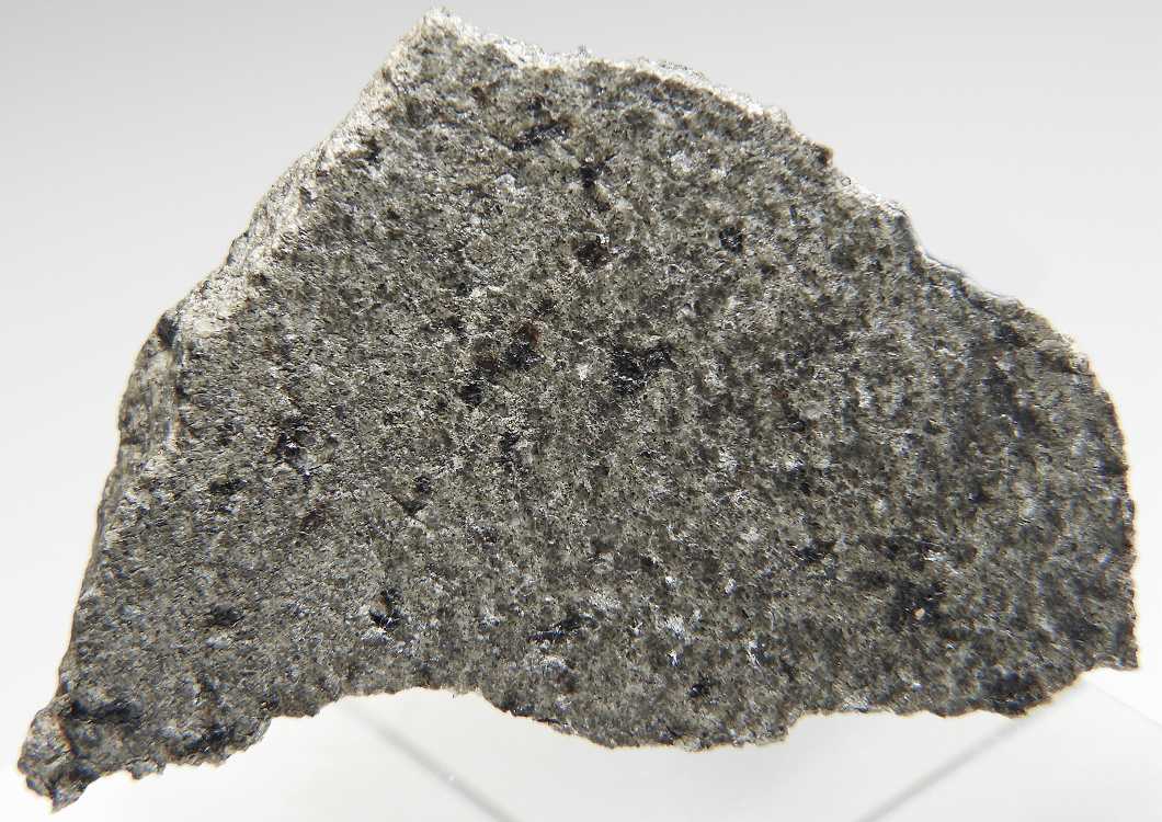 NWA 12564 火星隕石(Shergottite) 894 49.63g - 鉱物標本・隕石標本