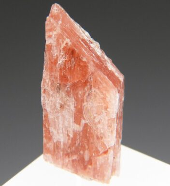 セラン石 の商品一覧- 鉱物標本・隕石標本販売のWeb専門店 エヌズ