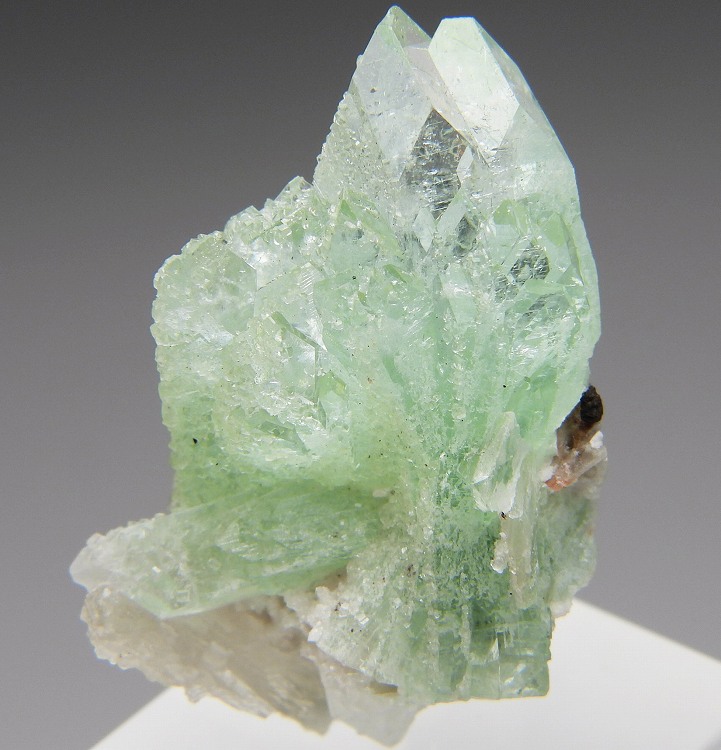 グリーン魚眼石 413 インド - 鉱物標本・隕石標本販売のWeb専門店