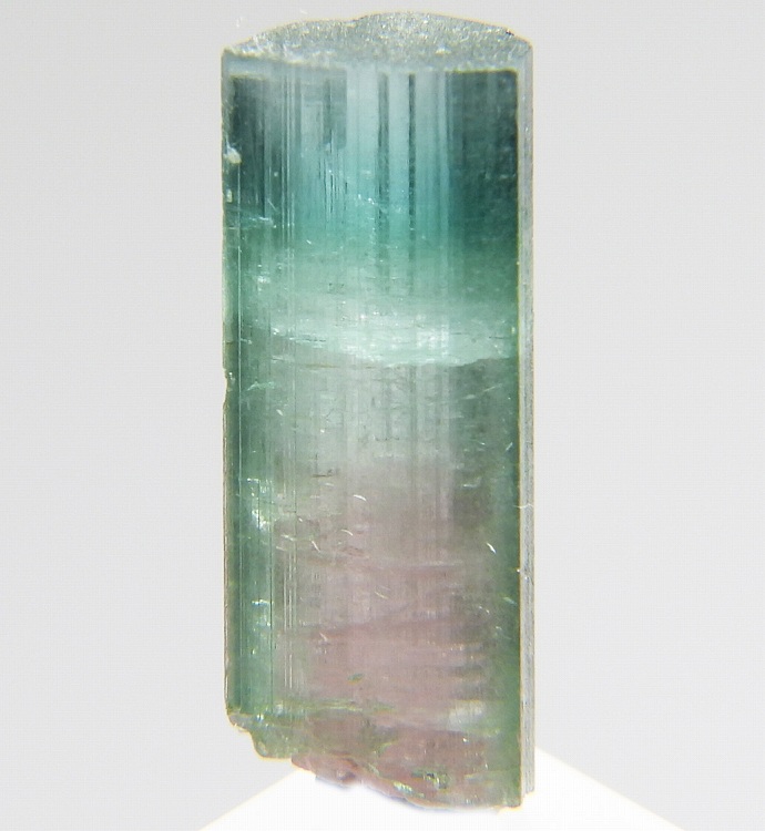 ウォーターメロントルマリン 934 アフガニスタン - 鉱物標本・隕石標本