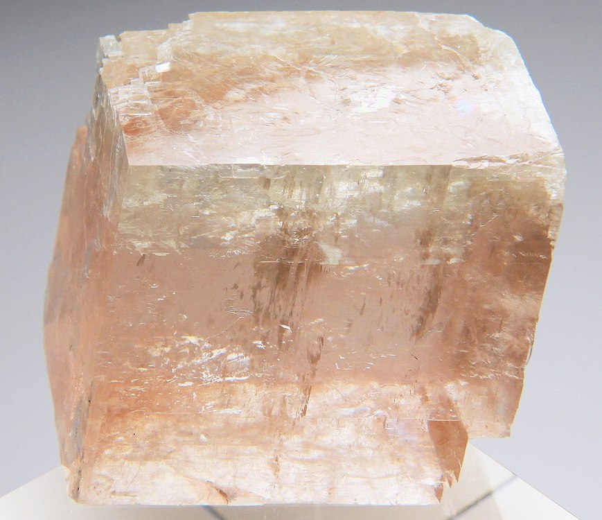 オプティカルカルサイト 735(蛍光/燐光) メキシコ - 鉱物標本・隕石