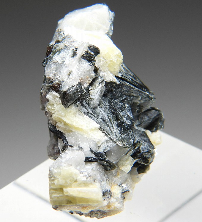 445 バイカラー トパーズ 産 標本 原石 445 バイカラー トパーズ 産