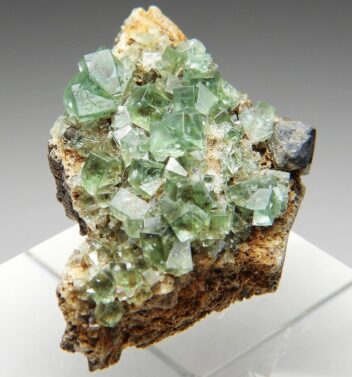 フローライト イギリス の商品一覧- 鉱物標本・隕石標本販売のWeb専門