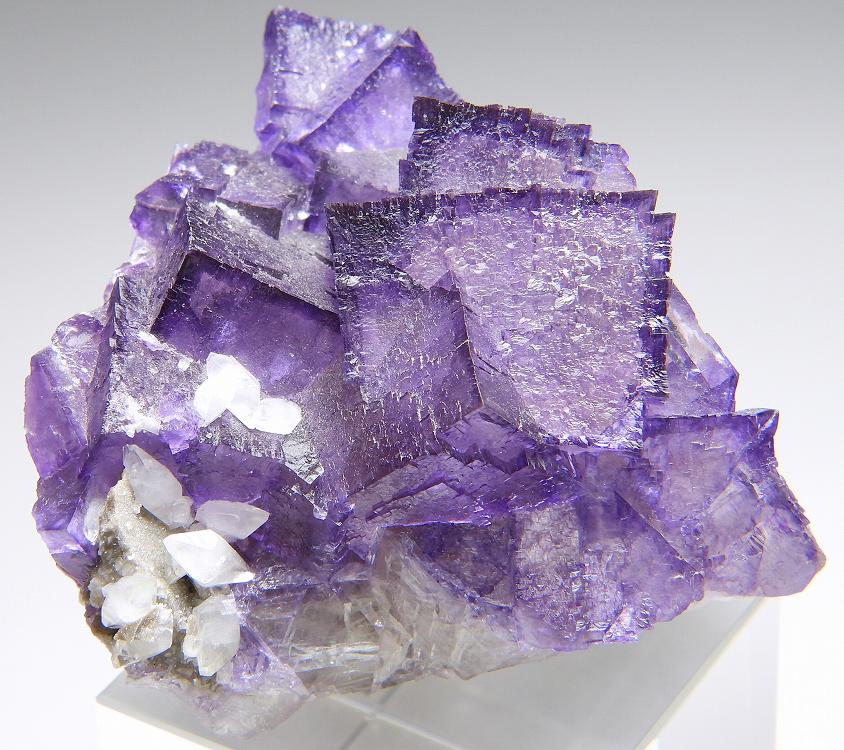 フローライト エルムウッド の商品一覧- 鉱物標本・隕石標本販売のWeb