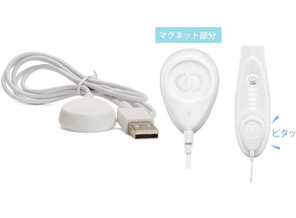 NU SKIN ニュースキン ルミスパ 充電器正規購入品 クレンザー付 NU