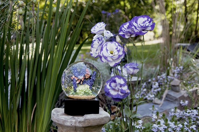 大人にも喜ばれる「クールスノーグローブス」 | NEWYORKER MAGAZINE