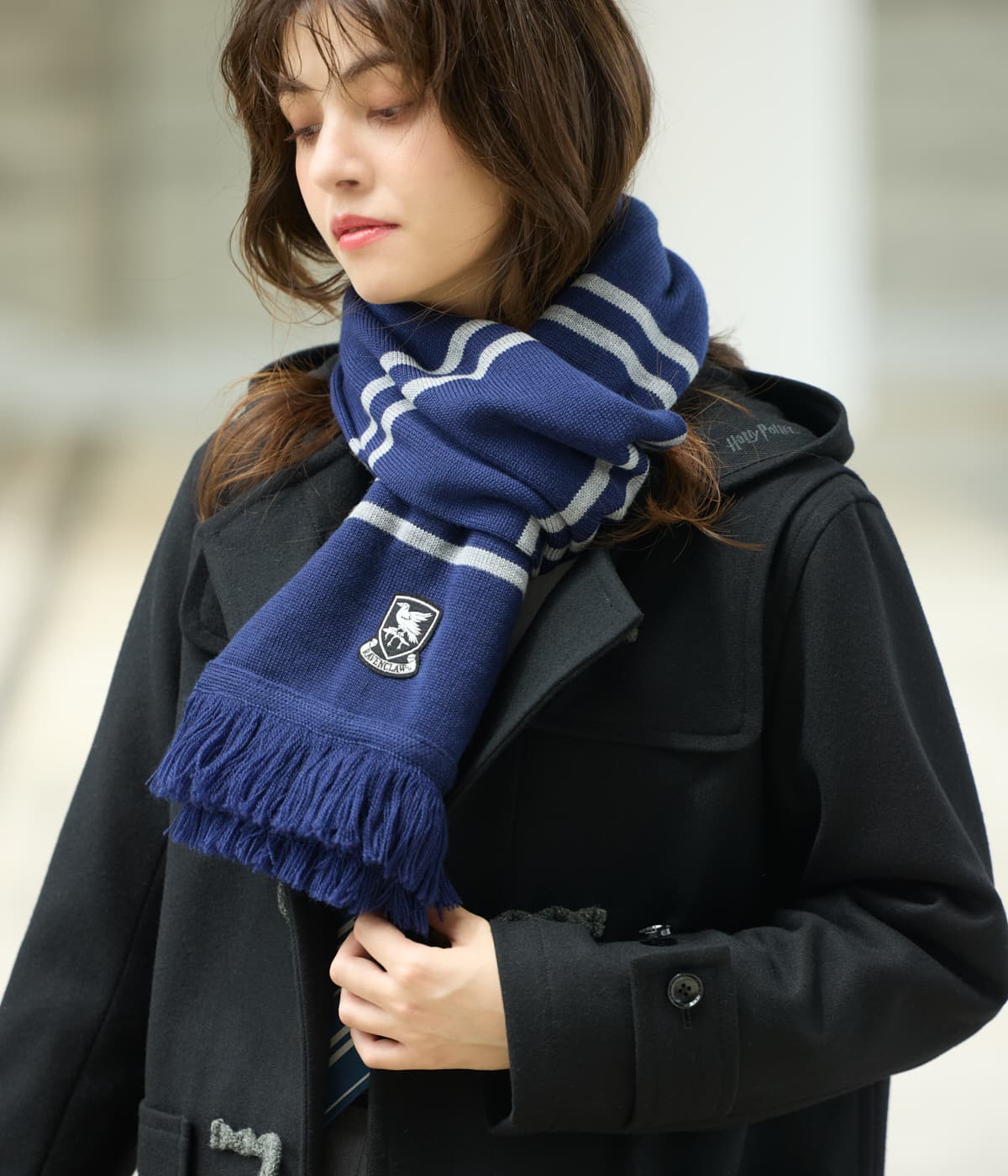 60th】ハリー・ポッター／ネクタイ レイブンクロ－(85903088-2024