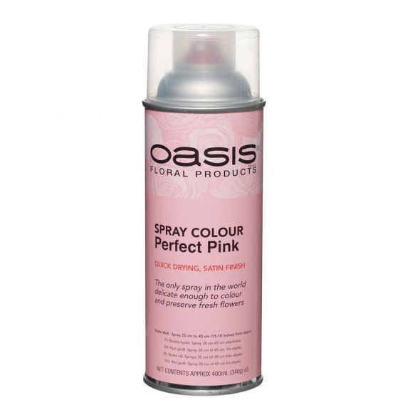 オアシス®カラースプレー【パーフェクトピンク D-5304】スプレーカラー
