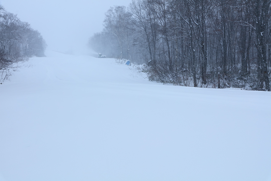 栂池高原 25cm / 雪 | Snownavi - スノーナビ