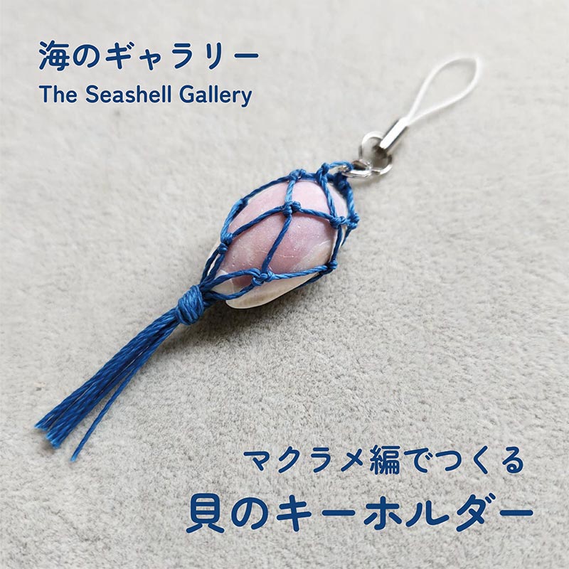 土佐清水キャンプフィールドでの開催概要 | 雪峰祭 2025 秋 | 開催予定