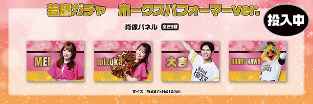 新商品】南海ホークスグッズ、テレQコラボグッズ 終盤戦ver.、若鷹