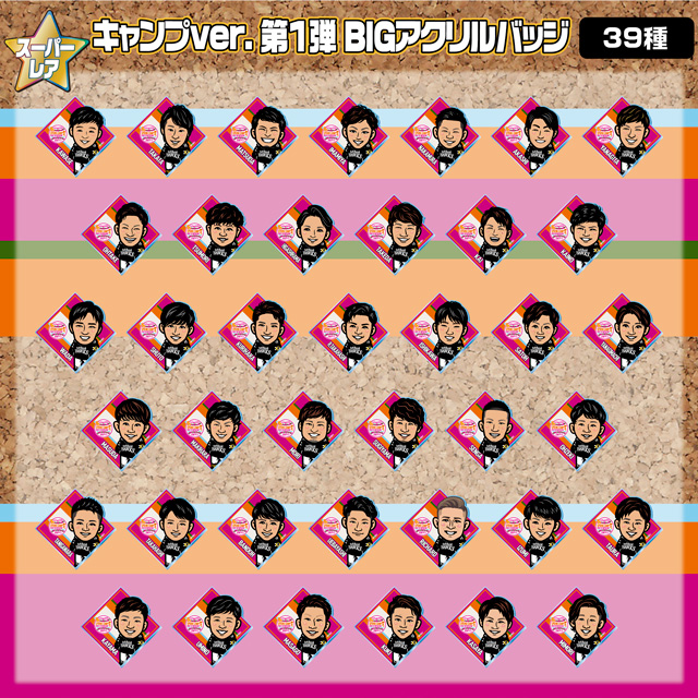 若鷹ガチャ 野村大樹選手 11種類11点 若鷹ガチャ 野村大樹選手