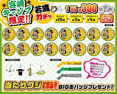2017宮崎キャンプ限定！「若鷹ガチャ」登場！ | 福岡ソフトバンクホークス