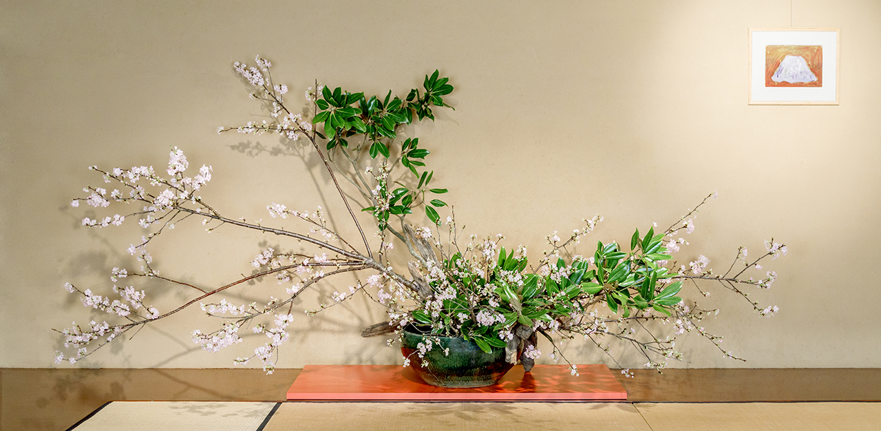 草月の家庭生花 勅使河原蒼風 霞 著 主婦の友社 【1957】 草月の家庭