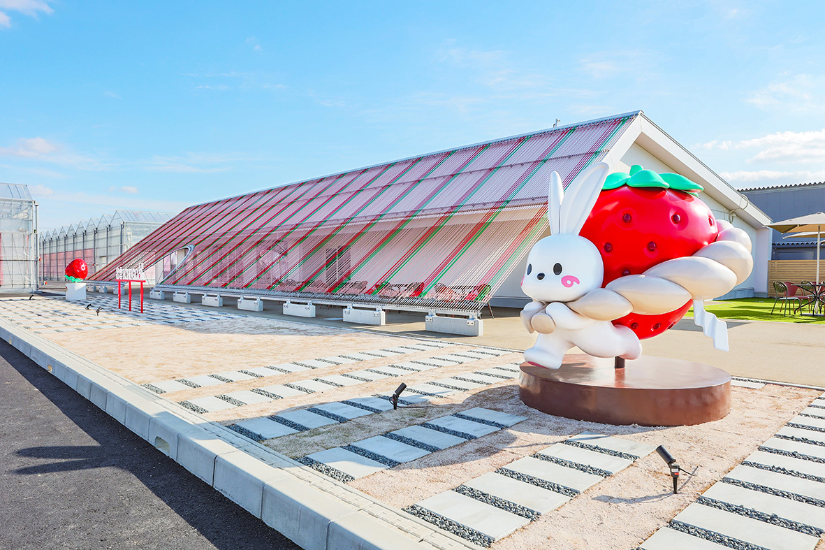 TSK農縁】2026年1月7日、出雲大社近くにいちご狩り施設「出雲ICHIGO縁
