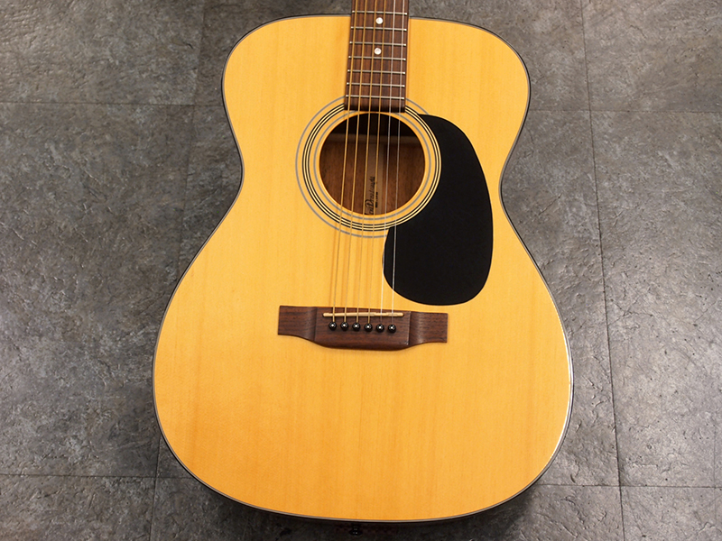 Aria Dreadnought AF-25N 税込販売価格 ￥16,800- 中古 初心者にお薦め