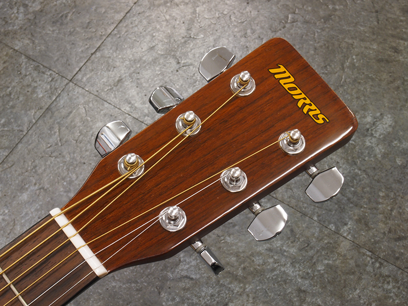 Morris MD-256TS 税込販売価格 ￥14,800- 中古 初心者にオススメの