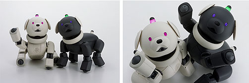 News and Information 