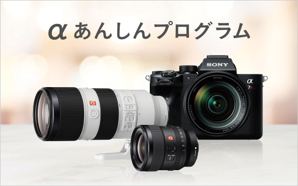 ZV-E1 におすすめのレンズ 3選 | デジタル一眼カメラα（アルファ