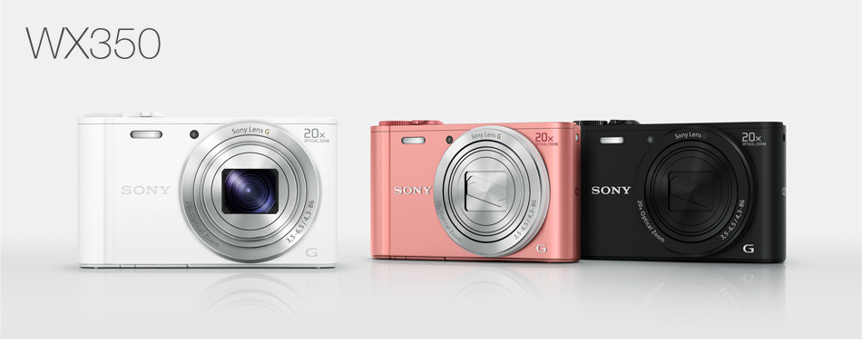 DSC-WX350 特長 : 光学20倍プレミアムハイズーム | デジタルスチル