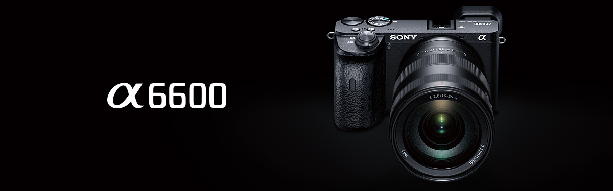α6600 特長 : 決定的瞬間を捉えるスピード性能 | デジタル一眼カメラα