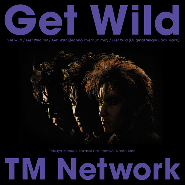 Get Wild【完全生産限定盤/アナログ盤】 | TMN | ソニーミュージック