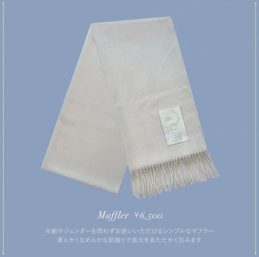 Aimer Hall Tour 24/25 