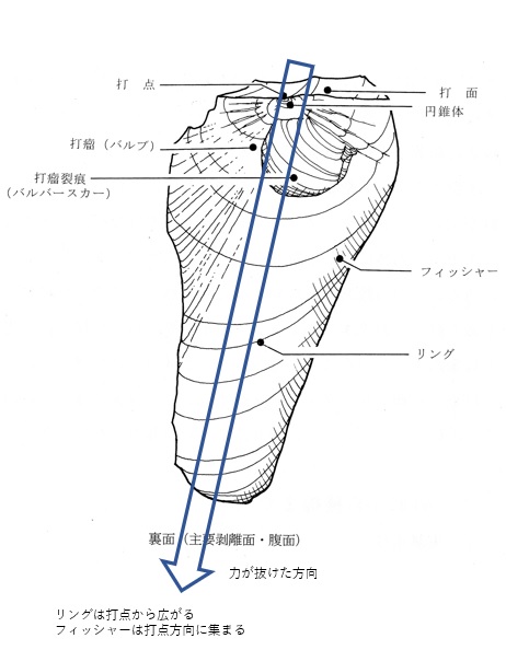 無口な考古資料 | 相模原市立博物館の職員ブログ