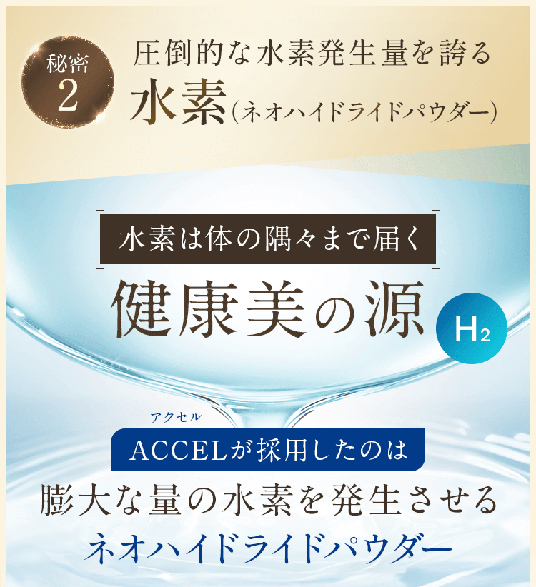 サン・クラルテ製薬ACCELコエンザイム Q10プラス - サン・クラルテ製薬