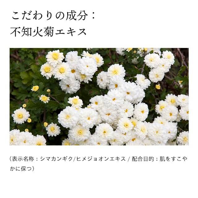 ドモホルンリンクルの『光対策 ドレスクリーム』の商品詳細と使い方