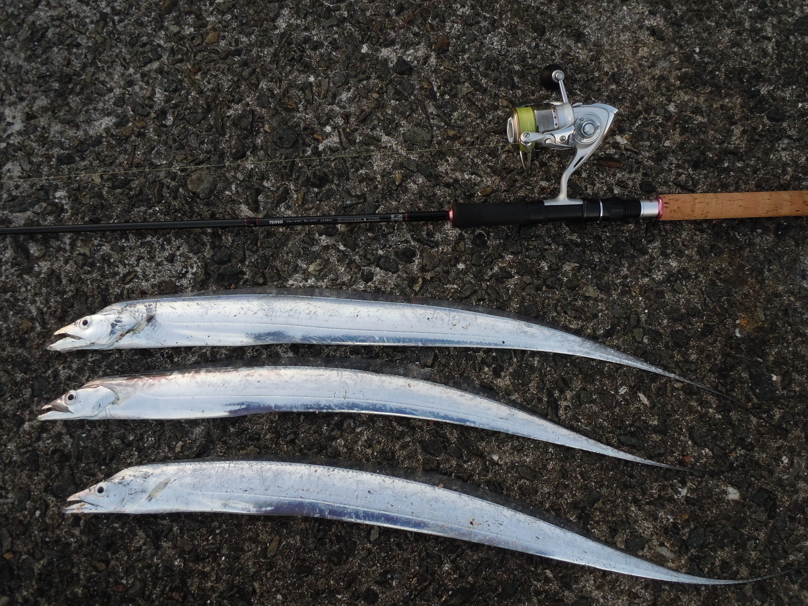 APIA(SPARTAS) 初代 Foojin'Z ネオンナイト83L レビュー - さかなくじ