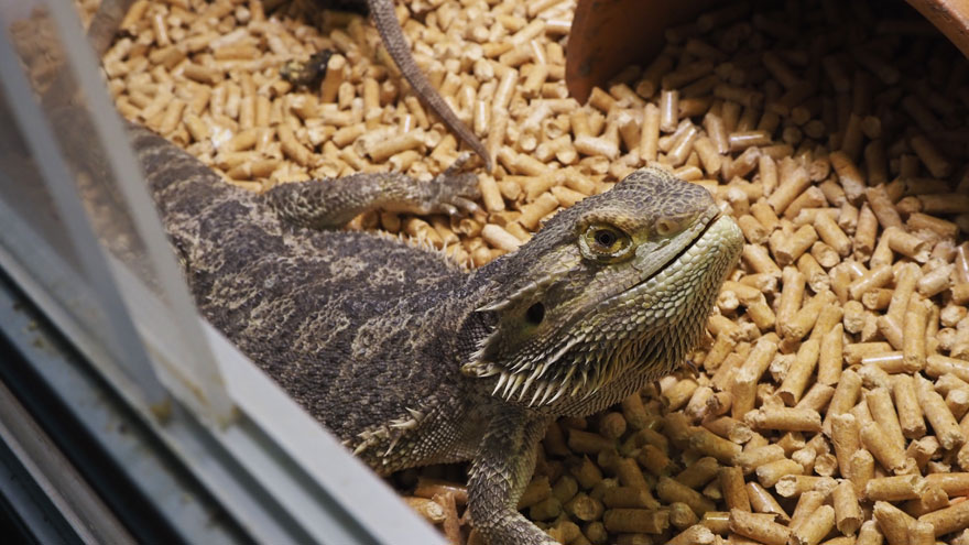 MURAKAMI@ctivity | 村上市観光協会 -鮭・酒・人情 むらかみ-