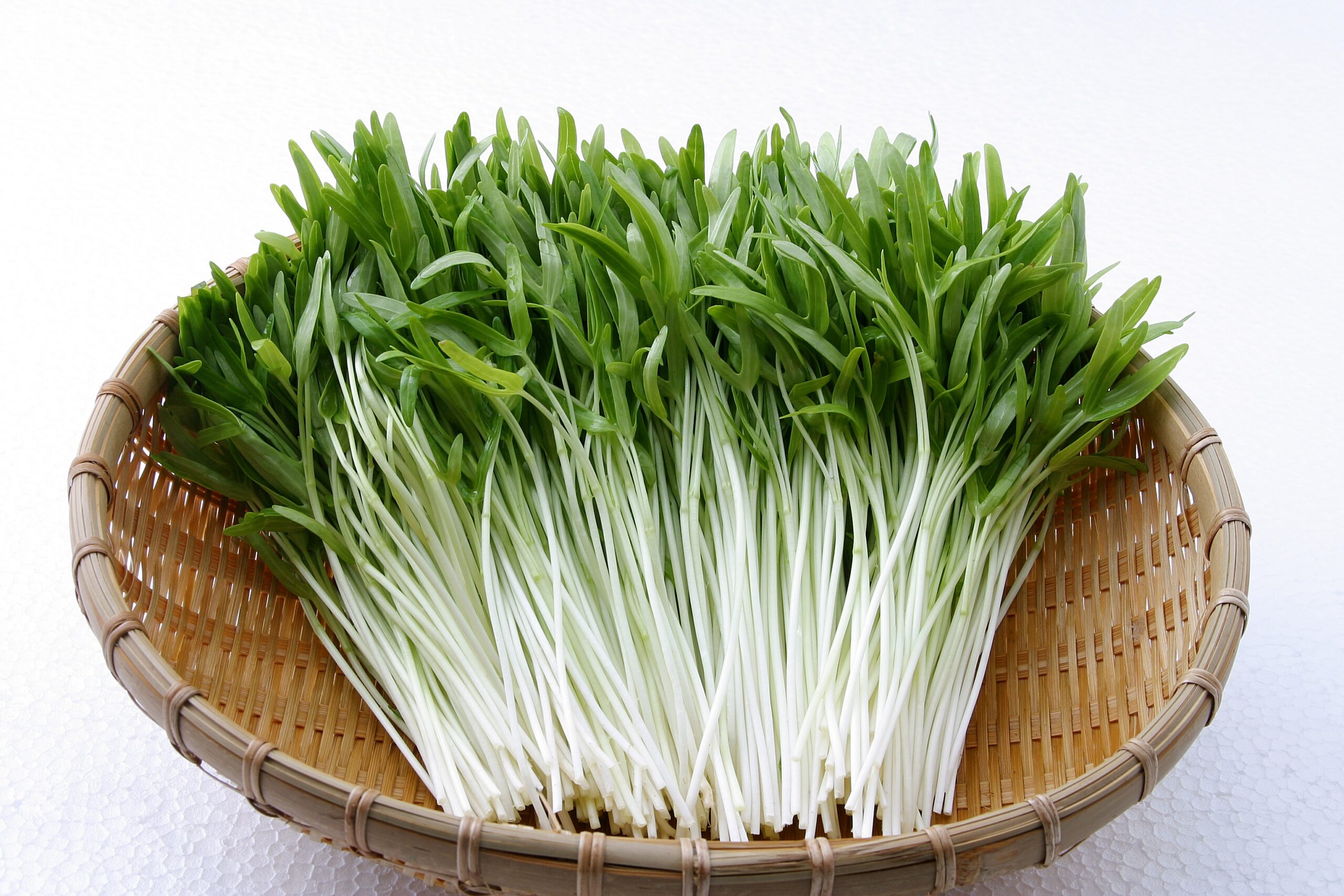 空心菜の新芽 - 株式会社サラダコスモ