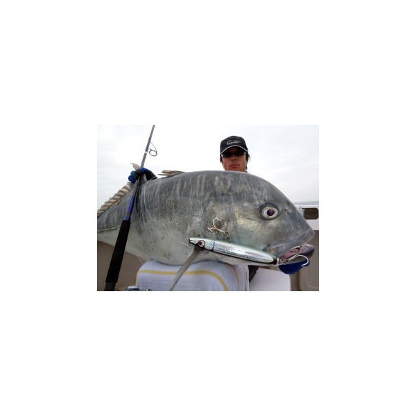 カーペンター〉ゼウス150+50 カーペンター ゼウス 150+50 公式通販