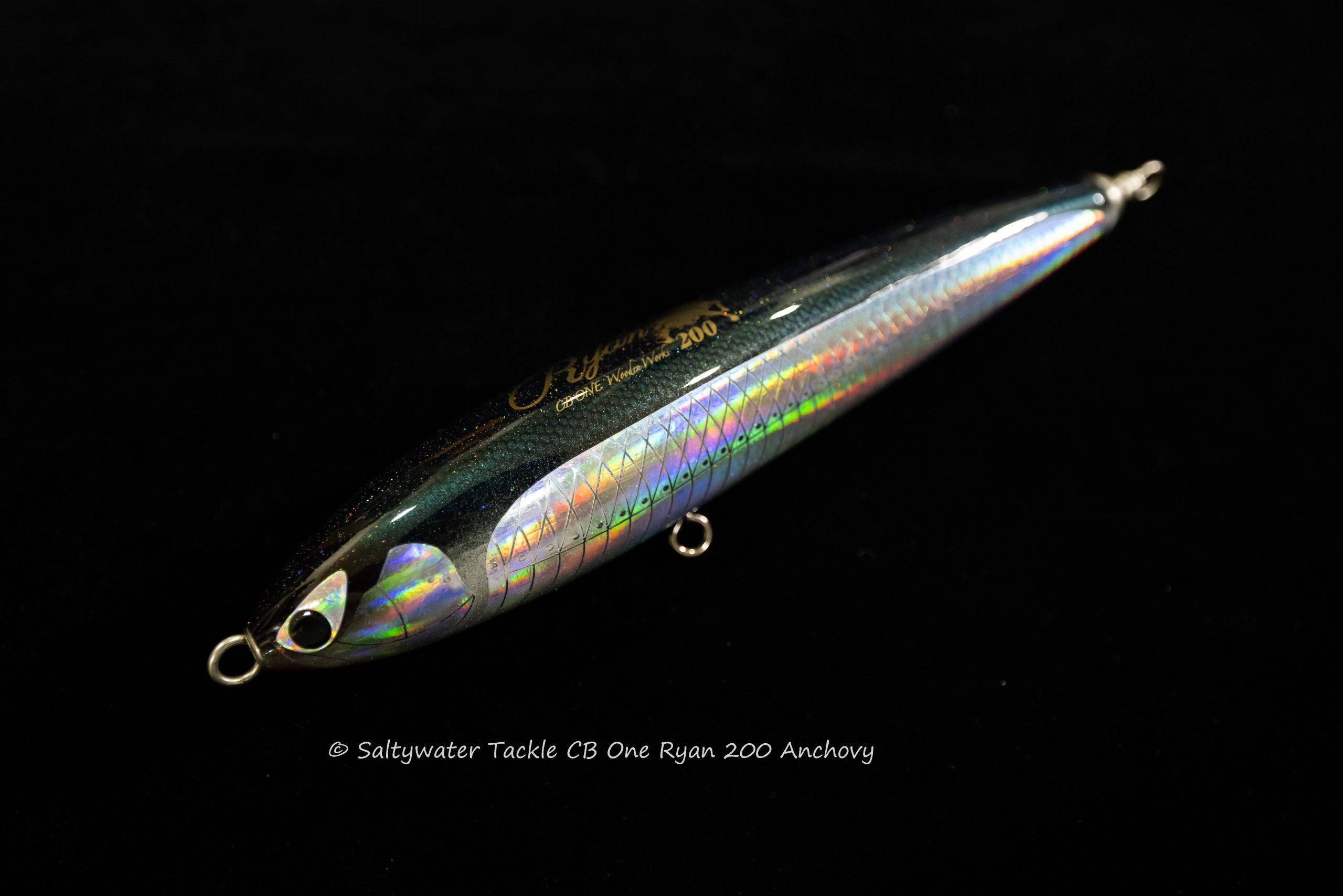 CB One Ryan 200 Anchovy - Saltywater Tackle Inc.
