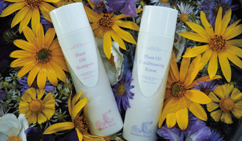 ディープ クレンジング クリーム LN | サンダース・ペリー化粧品