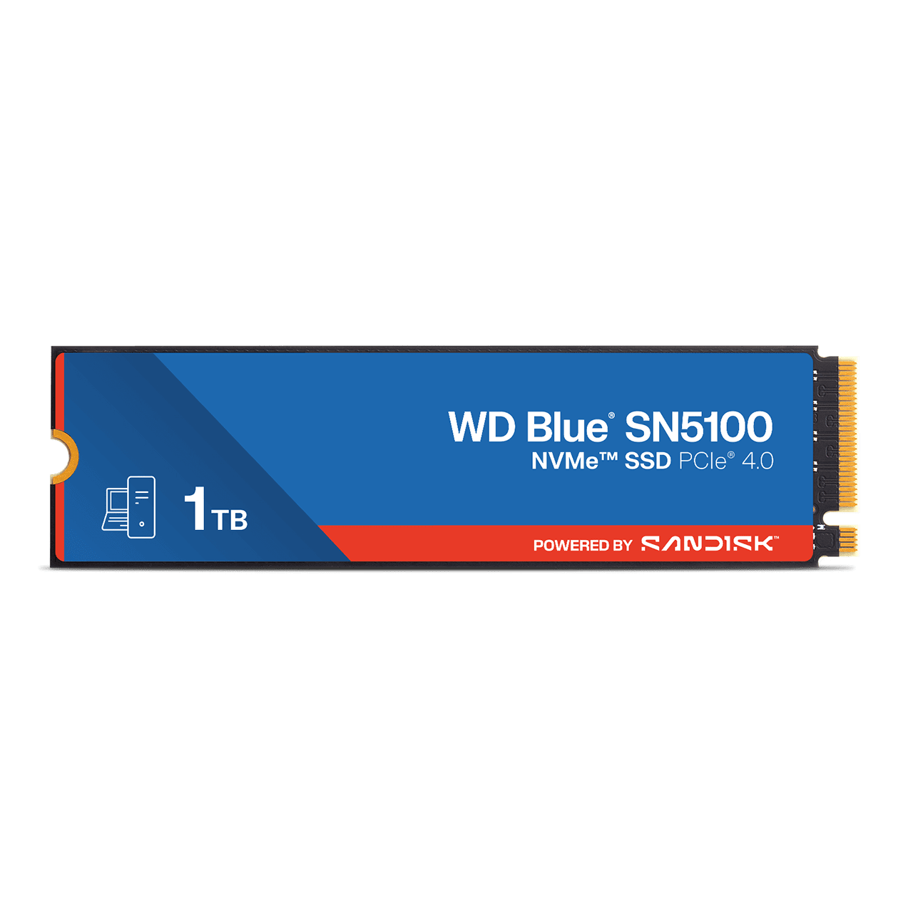 2 TB WD Blue SN5100 NVMe™ SSD | Sandisk