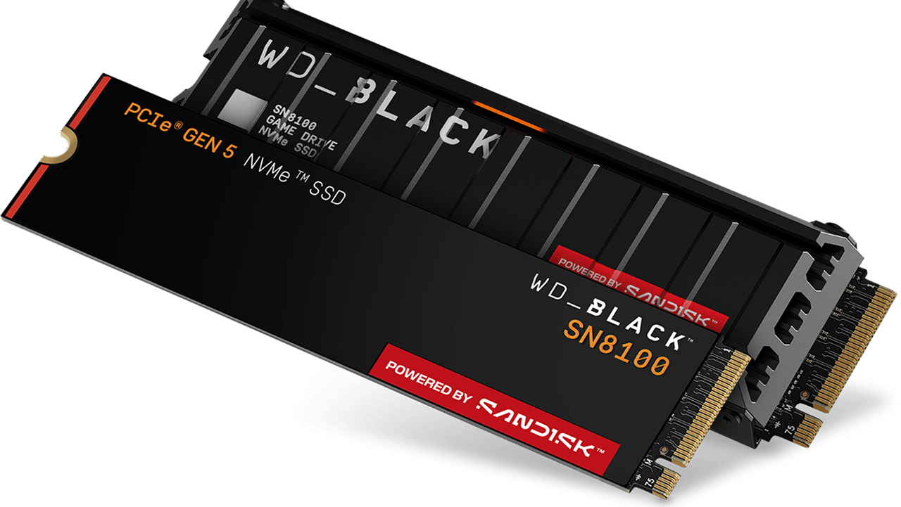 PCIe Gen 5 SSD：WD_BLACK SN8100の未来のスピード | Sandisk