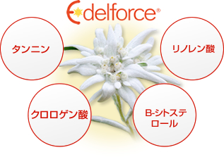 SantéAge [サンテアージュ] - NINAPHARM JAPON｜ポジティブ