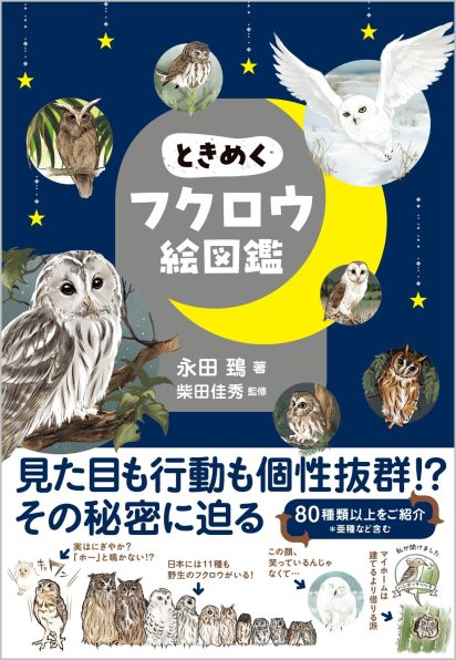 ときめくフクロウ絵図鑑 | SBクリエイティブ