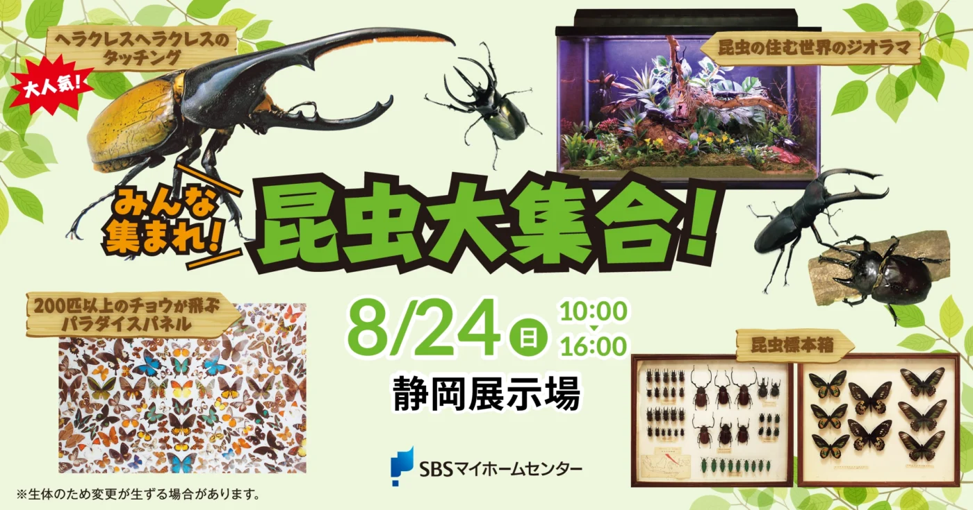 みんな集まれ！昆虫大集合！【静岡】 | SBSマイホームセンター - 静岡
