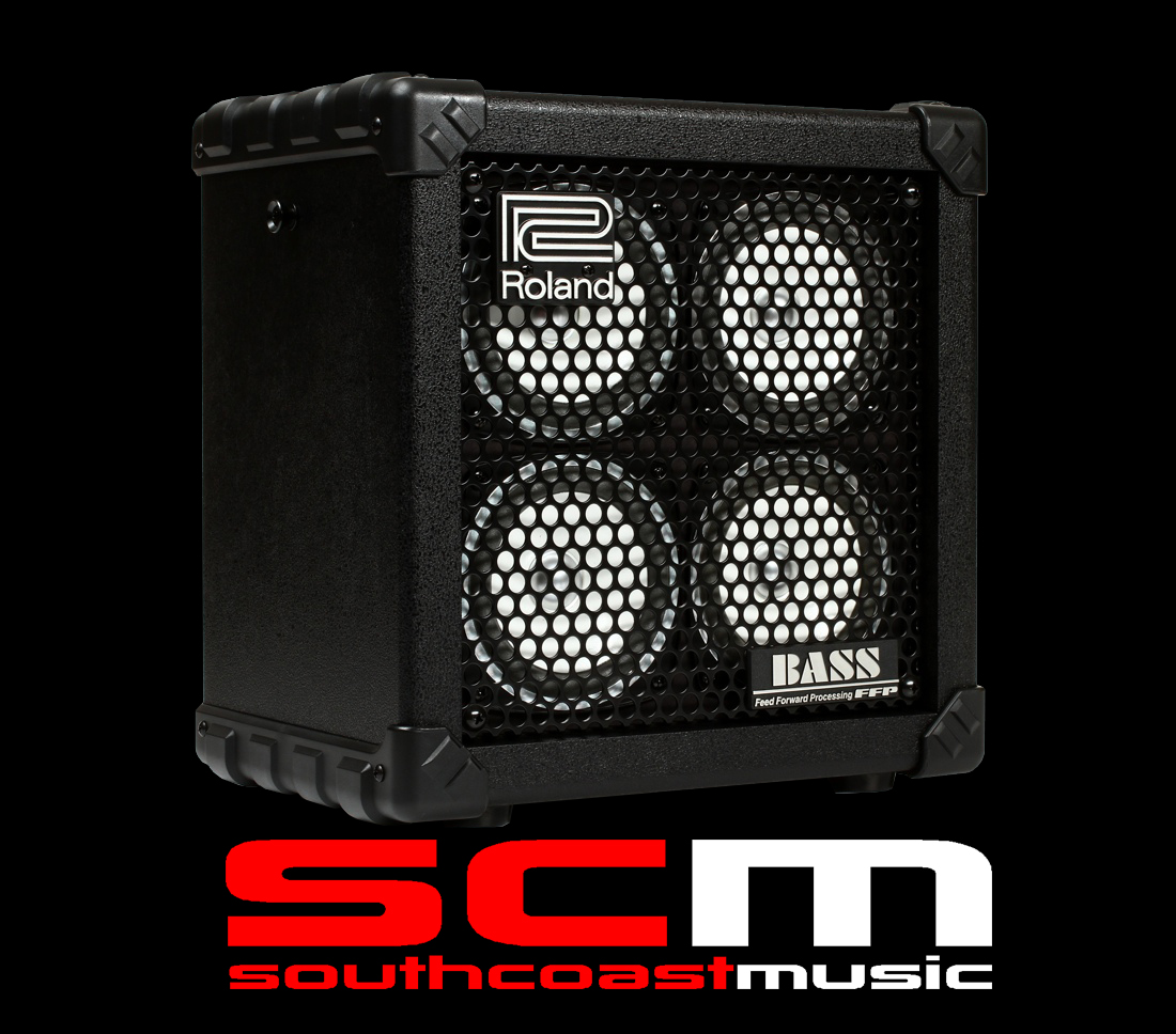 ROLAND MICRO CUBE BASS RX PORTABLE BASS GUITAR AMPLIFIER – South