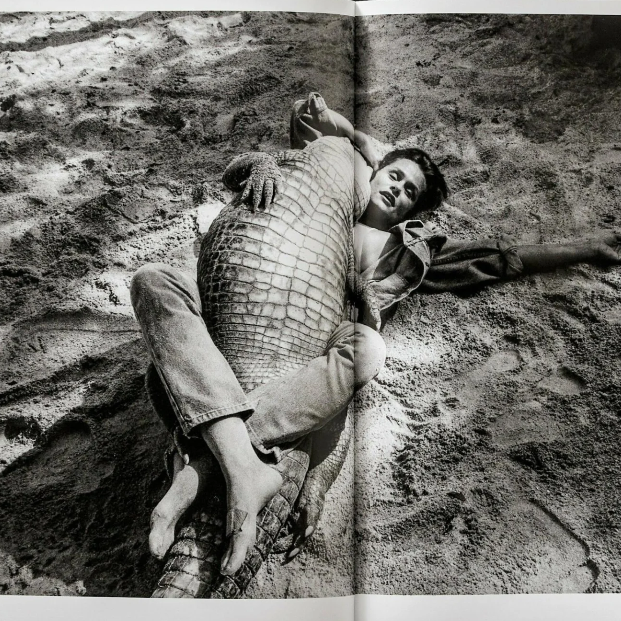 Helmut Newton Legacy | Unique Coffee Table Book – Scout Design Studio