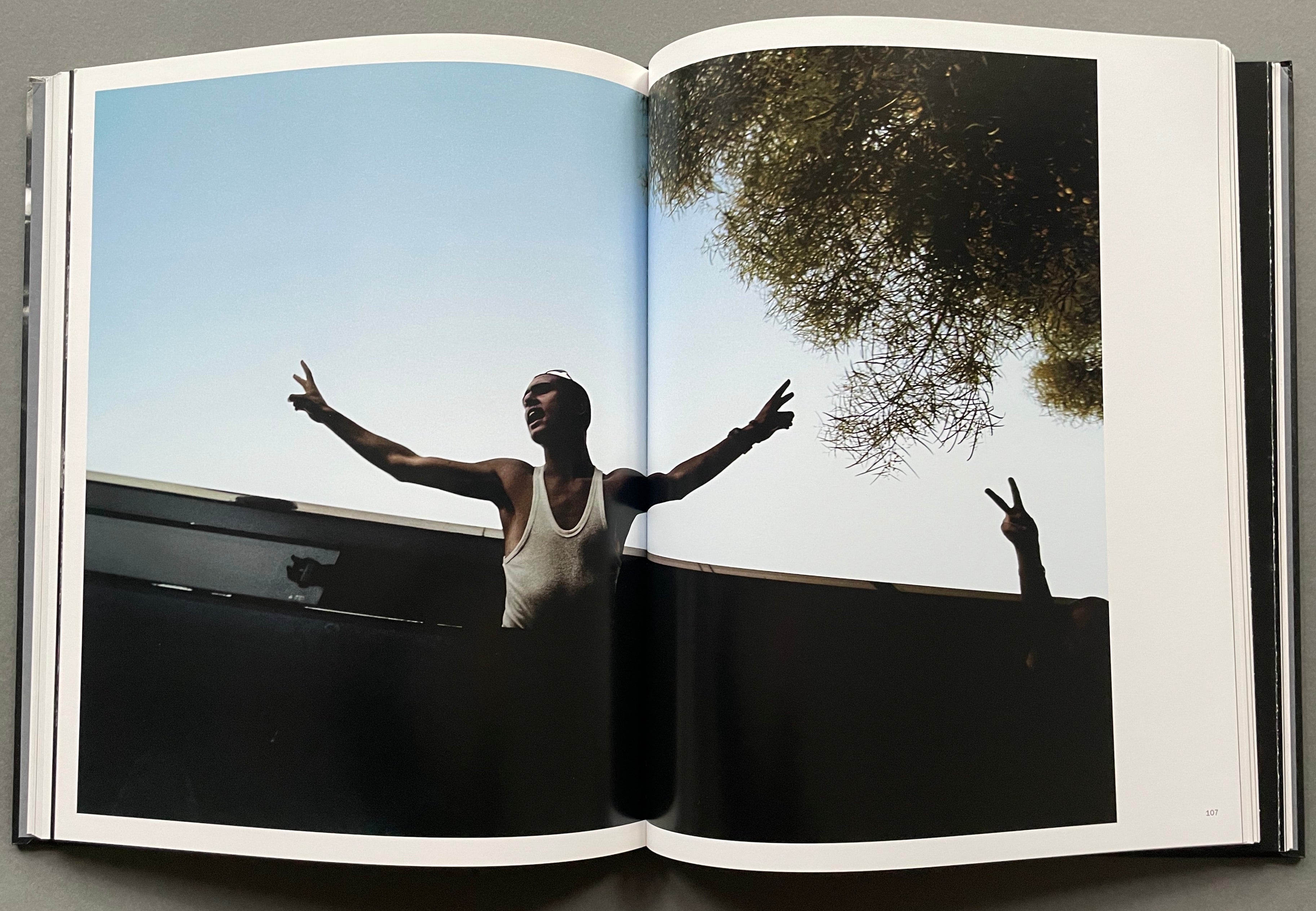 Buy Dies Irae by Paolo Pellegrin book – Setanta Books