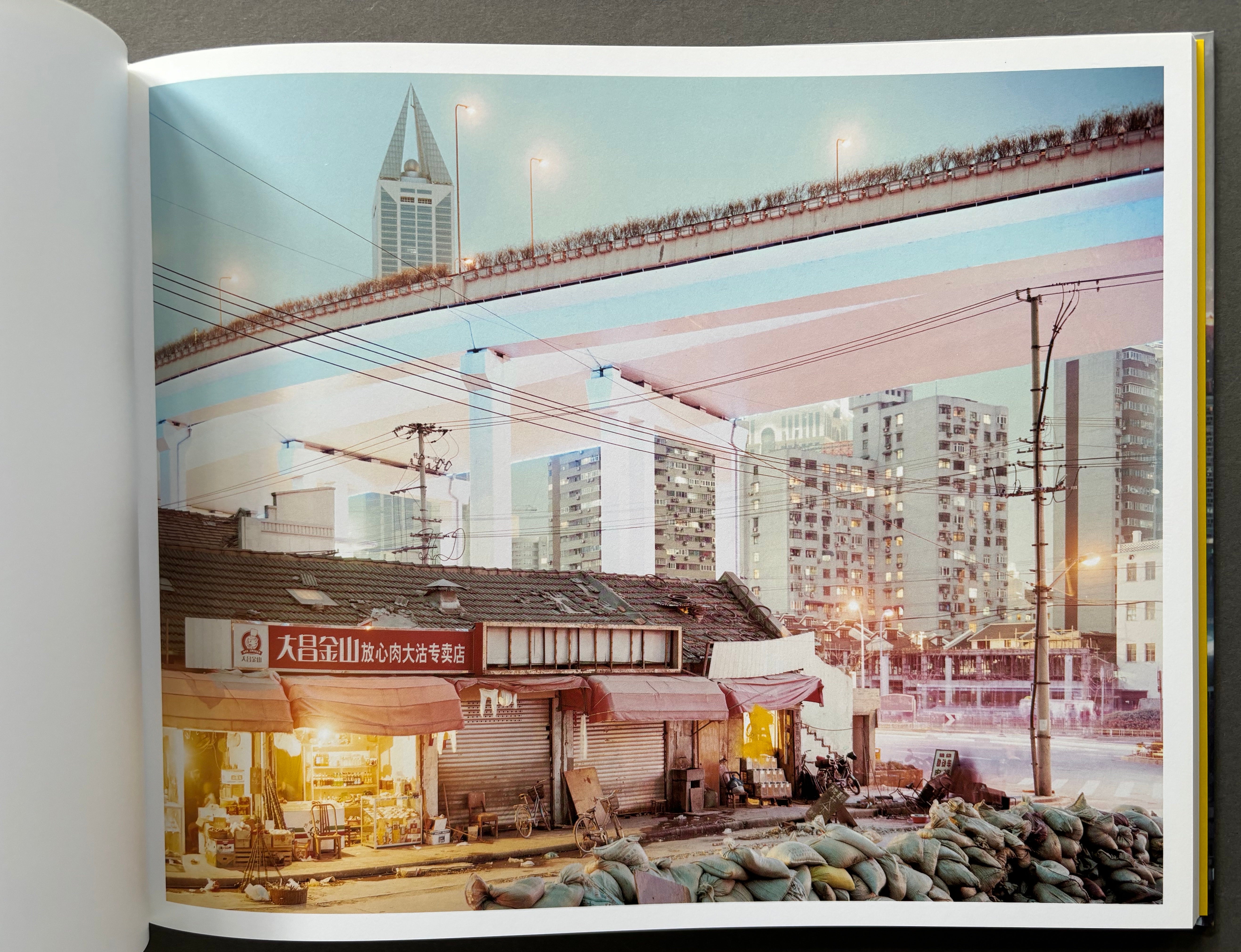 Buy Neon Tigers by Peter Bialobrzeski online. – Setanta Books