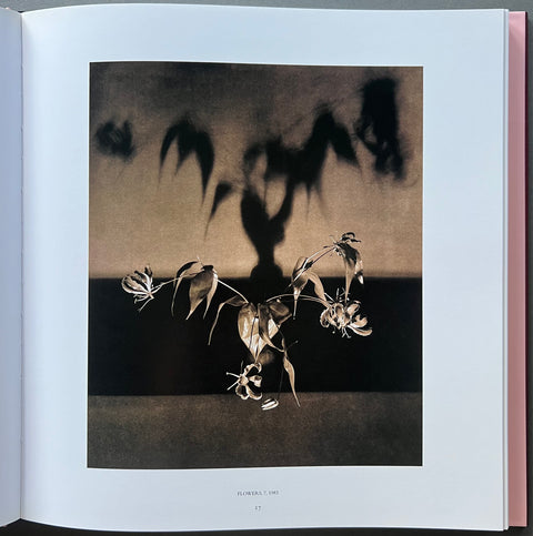 Robert Mapplethorpe Pistils写真集花特集 Buy Pistils by Robert