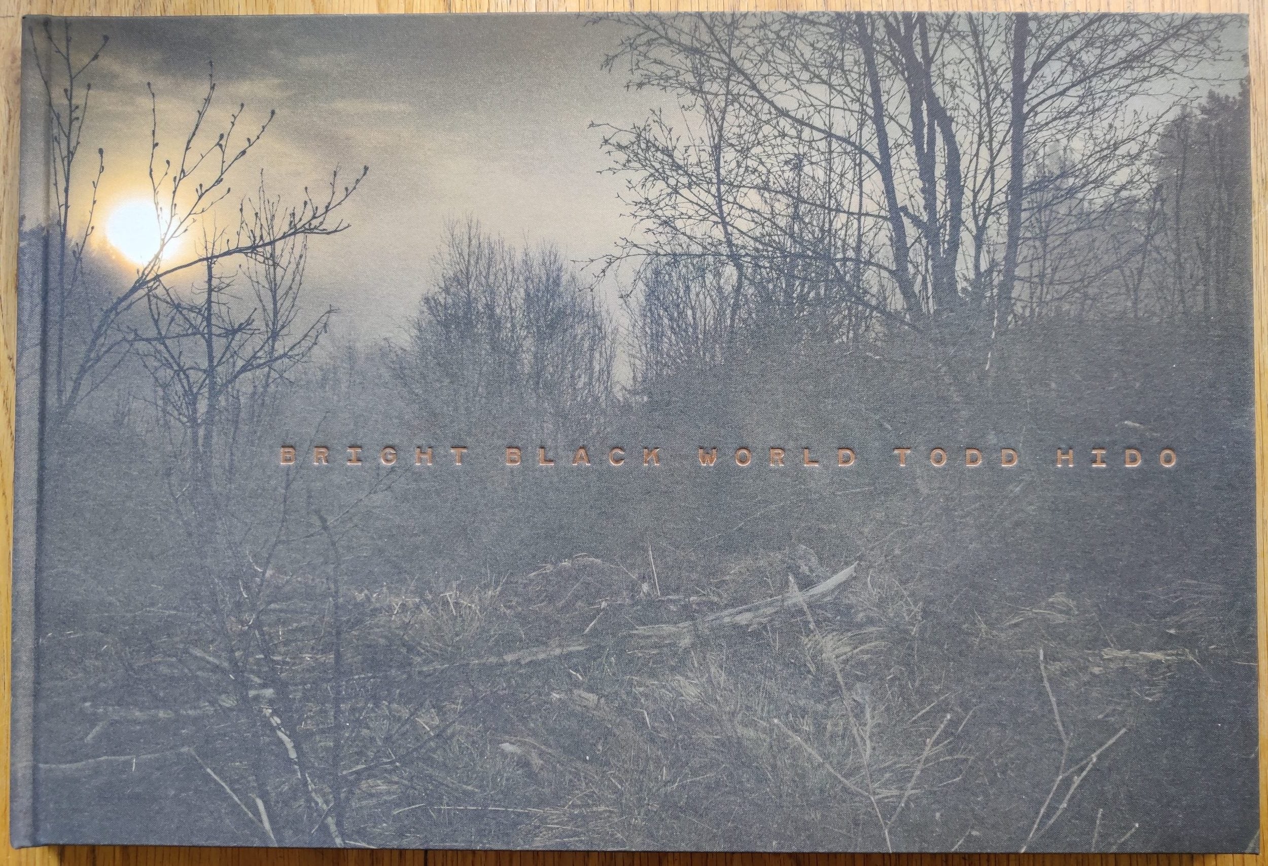 Buy Bright Black World with print by Todd Hido online | signed