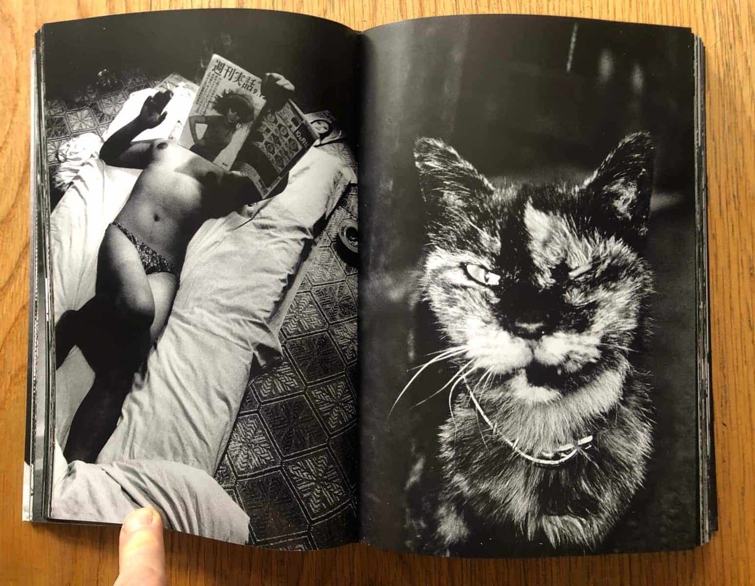 The World Through My Eyes – Setanta Books