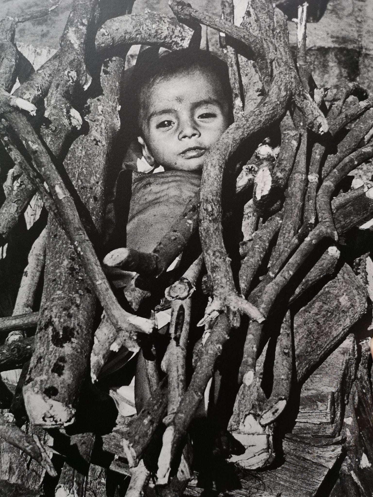 Poste Restante by Christer Stromholm | Photography | Setanta Books