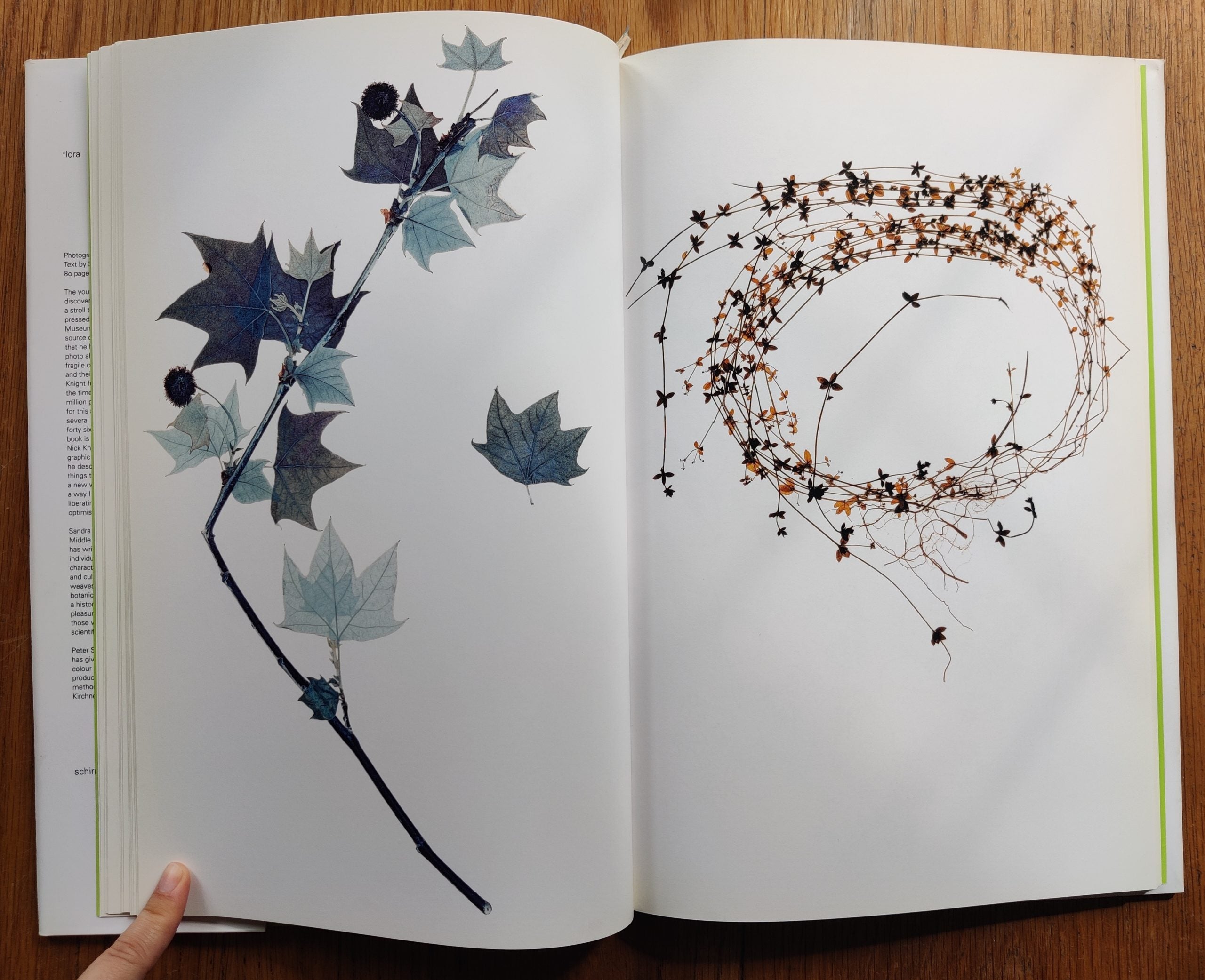 Flora – Setanta Books